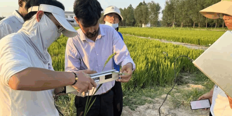 Pakistan China Introduce Smart Irrigation Against Heat