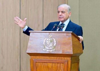 PM Shehbaz meets global leaders in Davos