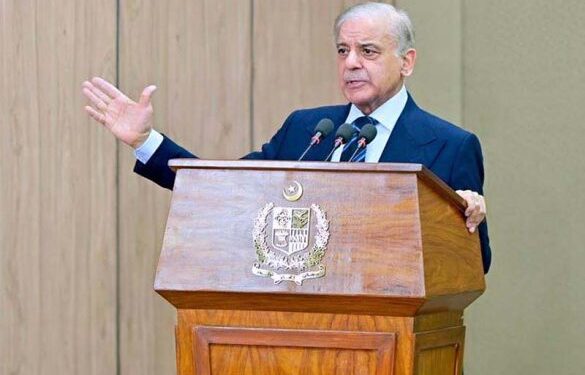 PM Shehbaz meets global leaders in Davos