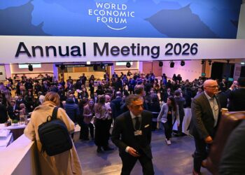 China Drives Global Green Transition at Davos