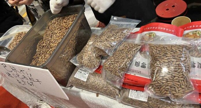 Pakistani Pine Nuts Highlight China Food Fair
