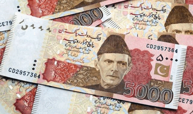 Pakistan tax collection grows 16pc in January
