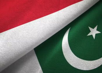 Indonesia, Pakistan Agree to Boost Air Force Cooperation