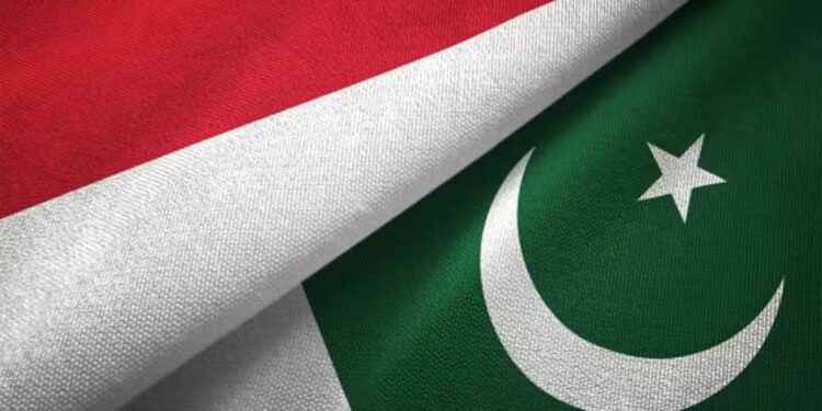 Indonesia, Pakistan Agree to Boost Air Force Cooperation