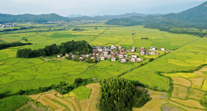 China Launches 2026 Plan for Rural Agriculture