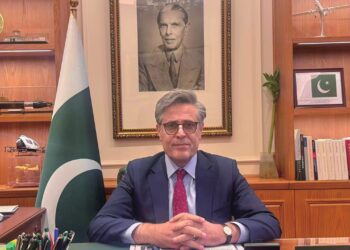Pakistan Envoy Sends Spring Festival Greetings To China