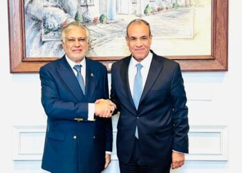Pakistan, Egypt FMs Review Strengthening Bilateral Ties