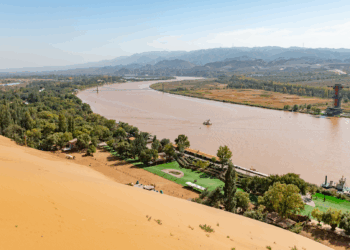 China Develops Innovative Soil Seeds to Combat Desertification