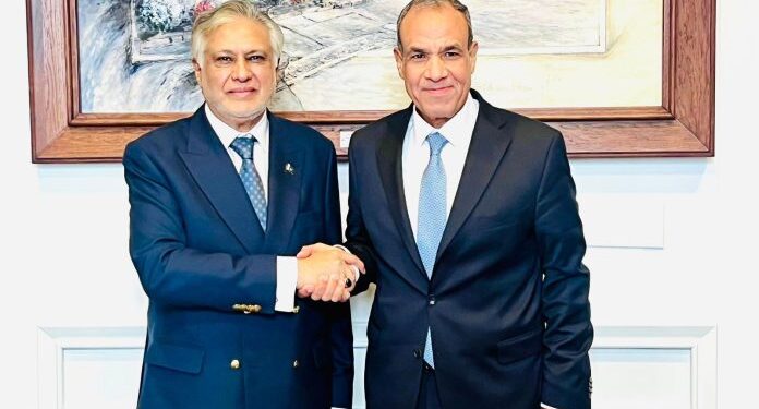 Pakistan, Egypt FMs Review Strengthening Bilateral Ties