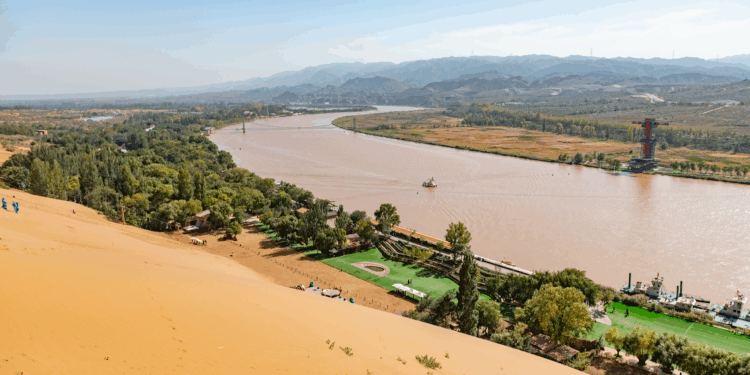 China Develops Innovative Soil Seeds to Combat Desertification