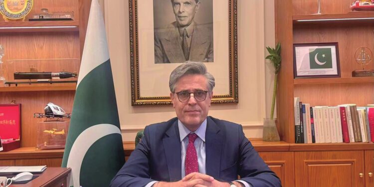 Pakistan Envoy Sends Spring Festival Greetings To China