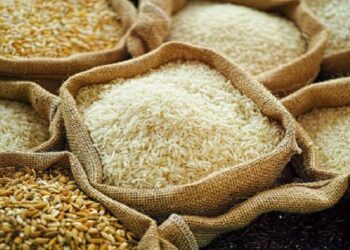 Pakistan Boosts Rice Export Scheme With Rs15B