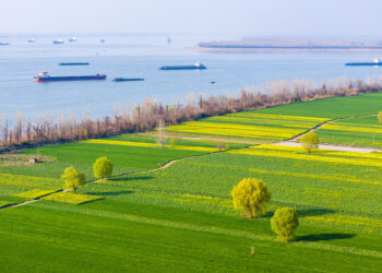 China Advances Renewable Energy and Green Development