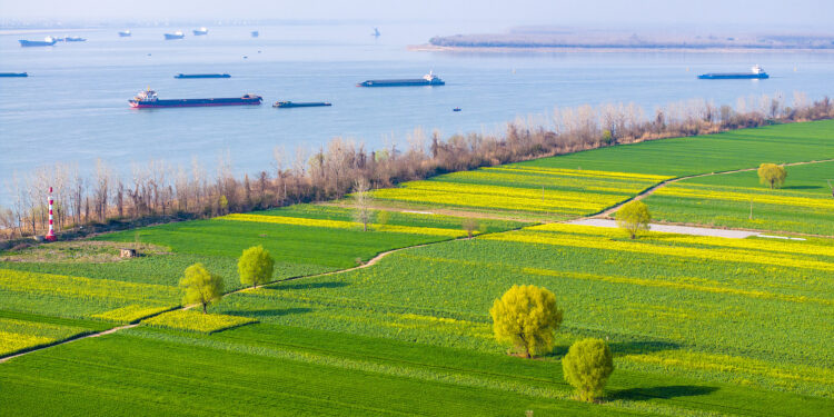 China Advances Renewable Energy and Green Development