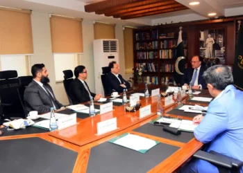 Wafi Energy Plans $100 Million Pakistan Investment