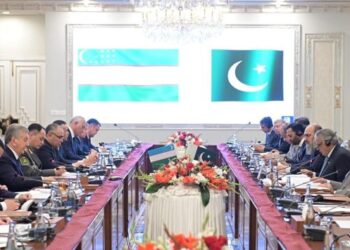 Pakistan Uzbekistan Leaders Agree To Expand Cooperation