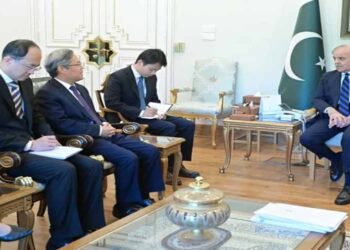 PM Shehbaz Meets Chinese Envoy to Accelerate CPEC