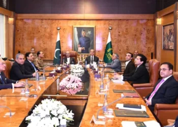 President Zardari Reviews Pakistan Economic And Energy Situation