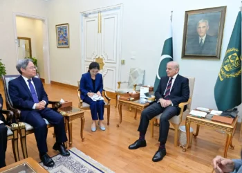 PM Shehbaz Updates Chinese Envoy on Peace Efforts