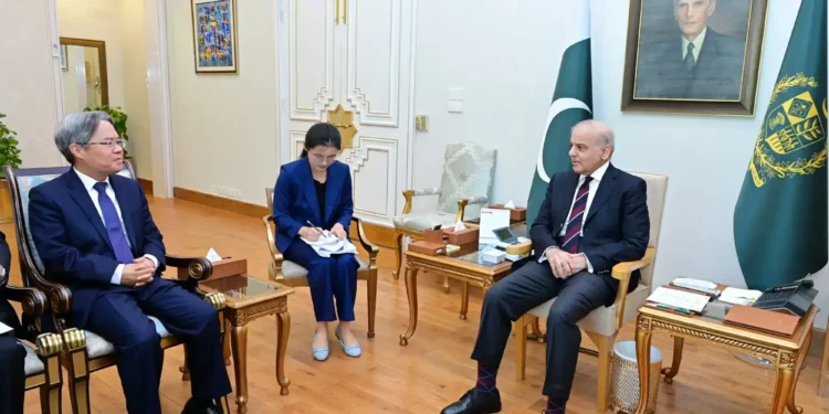 PM Shehbaz Updates Chinese Envoy on Peace Efforts