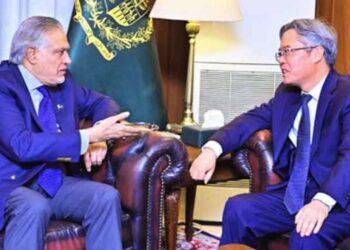 Deputy PM Ishaq Dar Meets Chinese Ambassador