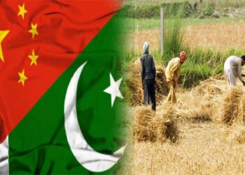 China-Trained Pakistani Agri Experts Become Master Trainers