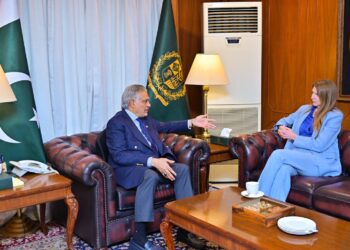 British High Commissioner Meets Deputy PM Dar
