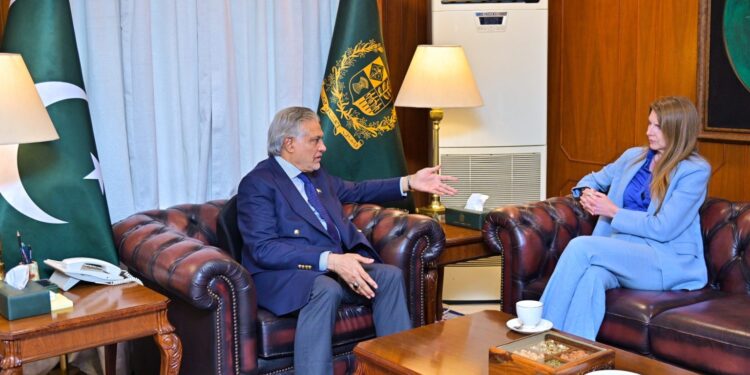 British High Commissioner Meets Deputy PM Dar