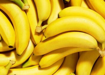 Pakistan Turns Banana Waste into Eco-Friendly Textile Fiber