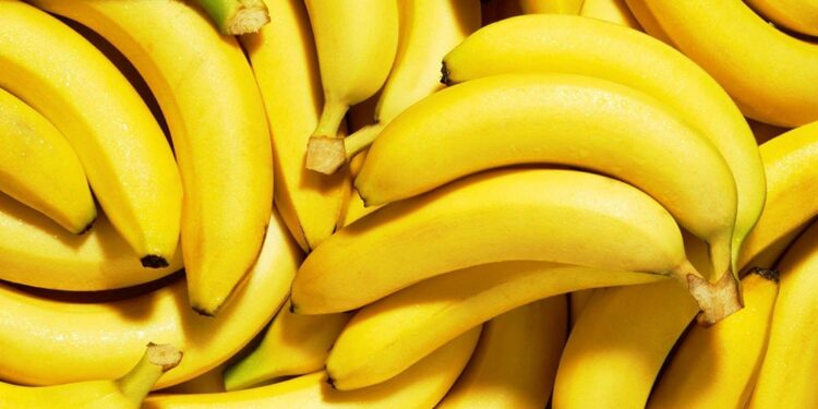 Pakistan Turns Banana Waste into Eco-Friendly Textile Fiber