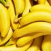 Pakistan Turns Banana Waste into Eco-Friendly Textile Fiber