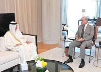PM Shehbaz Holds Diplomatic Talks With Qatar