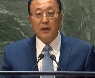 China Envoy Calls Pakistan Friendship "Towering Tree"