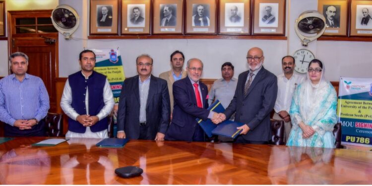 Punjab University Commercializes Pak-China Hybrid Rice