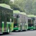 Punjab expands green transport
