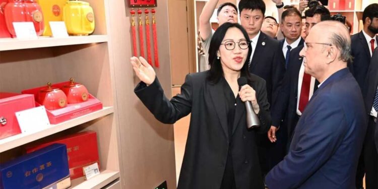 Zardari Meets Hunan Leaders on CPEC 2.0