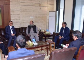 Chinese Firm Invests $120M in Tyre Sector