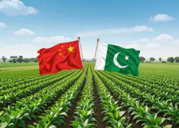 China, Pakistan Boost Agri-Tech Cooperation in Punjab