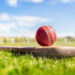 Pakistan, China Promote Cricket in Hangzhou