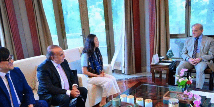 PM Shehbaz Meets Chinese Corporate Leaders