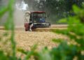 China accelerates summer harvest as flood risks rise