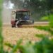 China accelerates summer harvest as flood risks rise