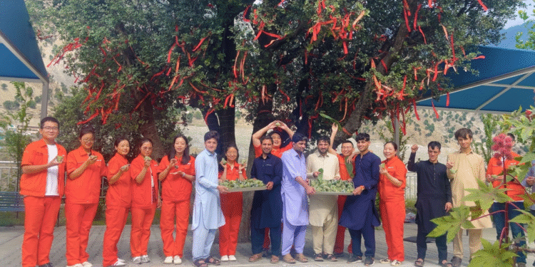 Pak, China Staff Mark Dragon Boat Festival
