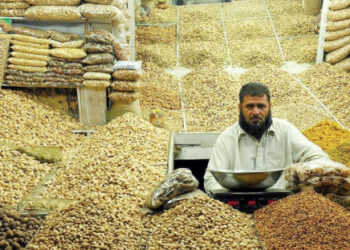 Pakistan Pine Nut Exports to China Surge