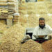 Pakistan Pine Nut Exports to China Surge
