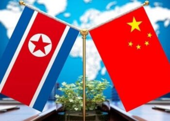 Xi advances cooperation with DPRK