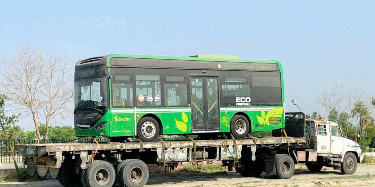 Chinese Green Buses Arrive in Layyah