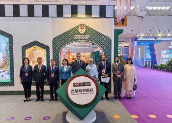 Pak Showcases Trade Potential at China Expo