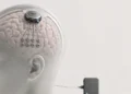 China develops world’s 1st Neo-Brain chip