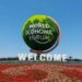China’s summer davos forum 2026